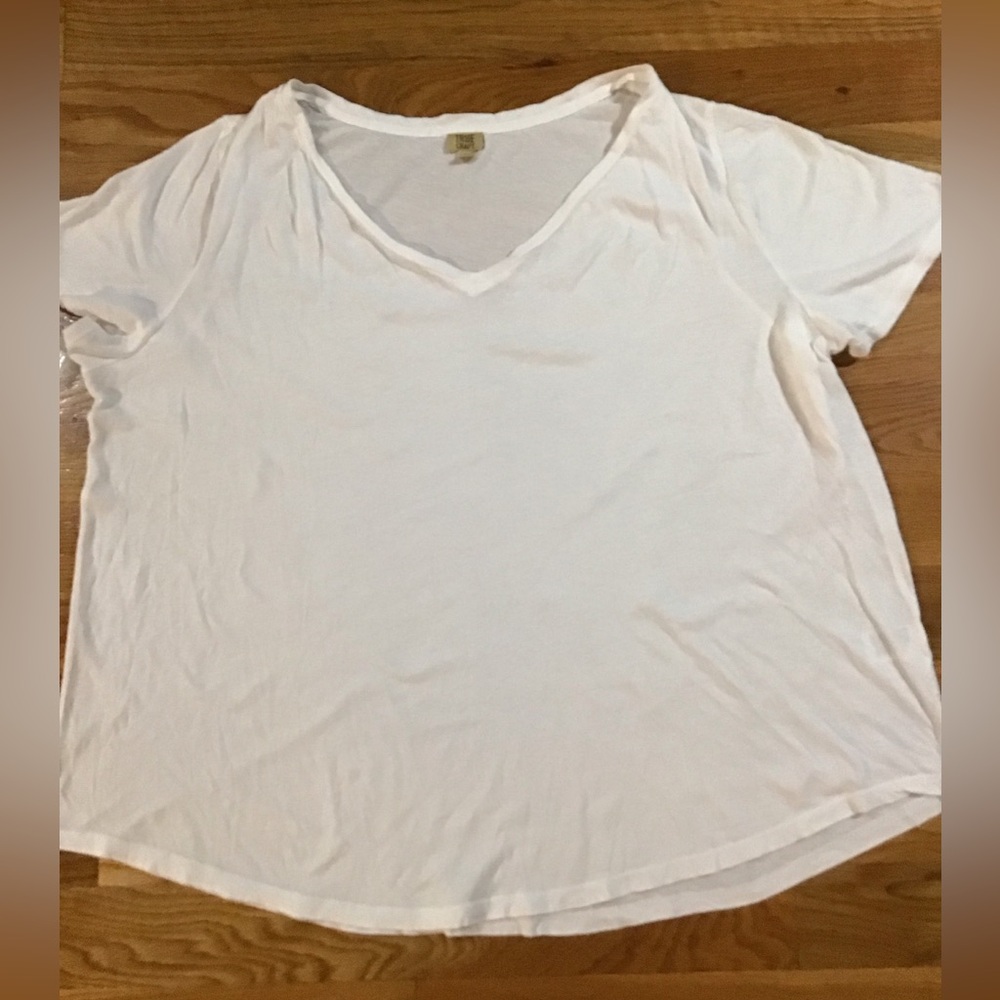 Woman’s size 2 X true craft, short sleeve, V-neck white T-shirt R